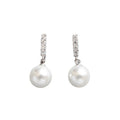 HFH_825732685031-Silver(withsterlingsilverearplugs)